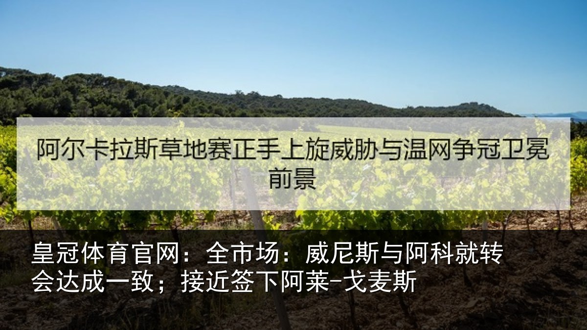 皇冠体育官网：全市场：威尼斯与阿科就转会达成一致；接近签下阿莱-戈麦斯