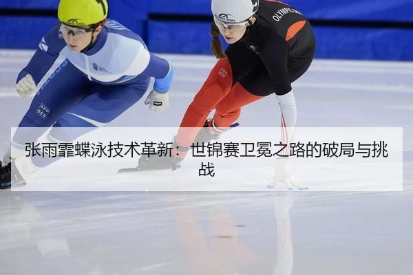 zhang-yu-fei-die-yong-ji-shu-ge-xin-shi-jin-sai-wei-mian-zhi-lu-de-po-ju-yu-tiao-zhan-3-117.jpg