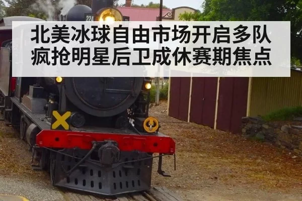 北美冰球自由市场开启多队疯抢明星后卫成休赛期焦点
