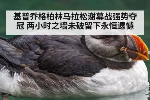 基普乔格柏林马拉松谢幕战强势夺冠 两小时之墙未破留下永恒遗憾